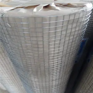 ����ֵ纸�� �纸���� ��п������