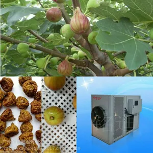 �����޻�����ɻ� MDH10 ����ҩ�ĺ�ɻ� ���ܻ��� ����ֱ��