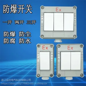 防爆墙壁开关单开双开三开10A220V照明防爆开关一开两开明装暗装
