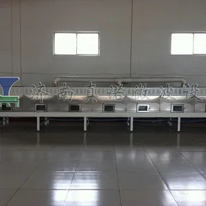 微波黑米烘干杀虫设备|济南真诺隧道式lt-20kw