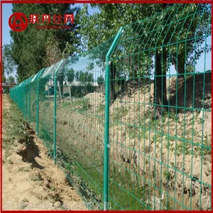 �ٳ���˫��˿������,����������
