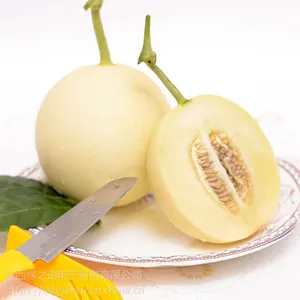 ����������� ��Ƥ��� ��ժ�ʹ� ����ֱ�� 5�����