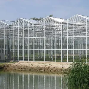 河南文洛式连栋玻璃温室工程建设施工