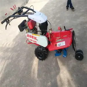 �ַ�ʽ΢���� ���ʩ�ʿ����� ������԰������