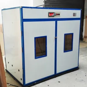 ���ݳ��ҳ�������5280öȫ�Զ�С��Ѽ�����ȷ������豸