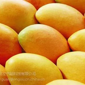 龙优芒果烘干机厂家 广东空气能芒果烘干机