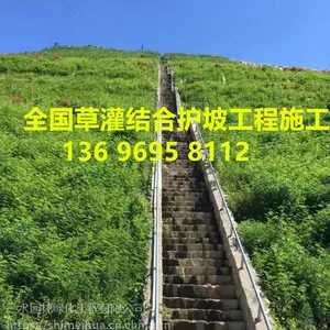 河南边坡喷播植草及客土喷播植草施工