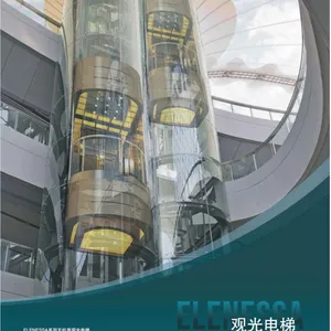 三菱电梯河南分公司ELENESSA观光电梯