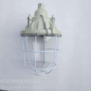 防爆照明灯bad55***