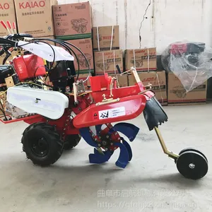���Ͷ๦��С�������� ���������߲˿����� �����������������