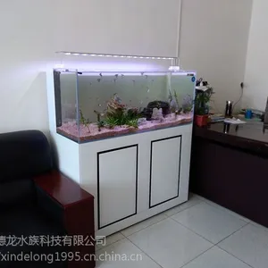 ��̬��� ��׳��� �⻻ˮ���
