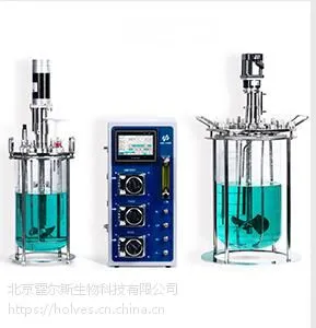 实验室生物反应器 HB-Eu 210系列