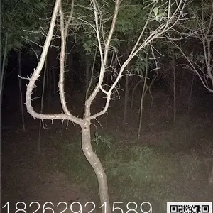 11�����͸���*** 2018����������������� ���� 1500�÷�����