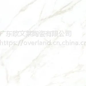 欧文莱瓷砖玻化砖原石新卡拉拉白大理石地砖
