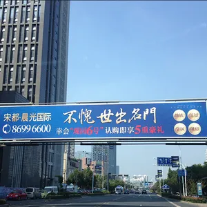 宋都晨光国际户外广告——杭州美人鱼