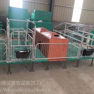 养猪设备产床 猪用分娩床 双体母猪产床 复合母猪产床