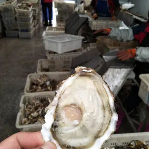 �人����������� �ʻ�������Ǯһ��