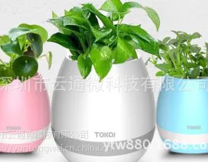 供应LED七彩灯花盆音箱方案芯片及PCBA定制编码器
