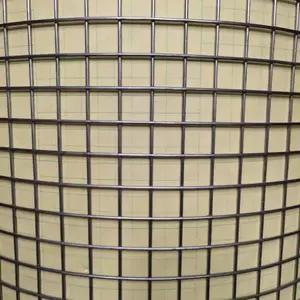 ����304����ֵ纸�� ����������� �������Ƭɸ������