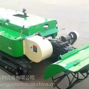 ����΢���� ����