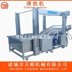 诸城天顺全智能化诺丽果清洗机【清洗诺丽果机械设备】