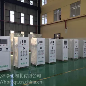 4立方瑞泽小型全自动氮气净化机