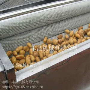 毛辊清洗机 去皮机 胡萝卜清洗机