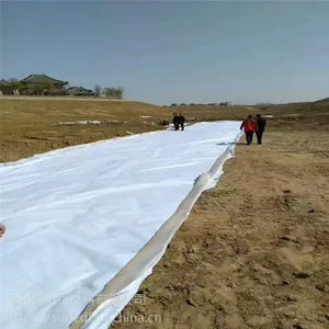 山东600克两布一膜