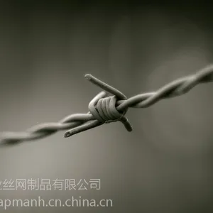 ����ҵ�������Ĵ�����������޼������Ǯһ�ף�����޼����������˿���̹� ������������