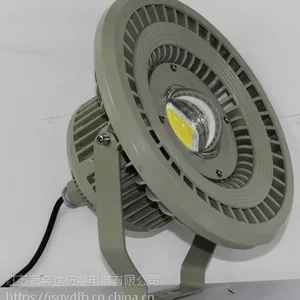 江苏冠奕达防爆电器LED防爆灯免维护灯投光灯路灯工矿灯车间灯