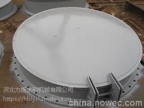 钢制拍门 品牌: 河北力扬水利 启闭机闸门