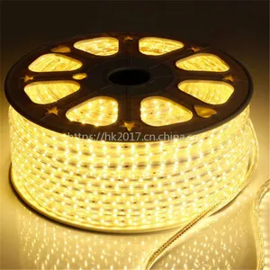 厂家直销LED灯带灯条 5050高压220VLED灯带 一米60灯单晶三晶5050贴片灯条