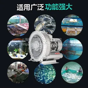 厂家直销大功率环形高压鼓风机