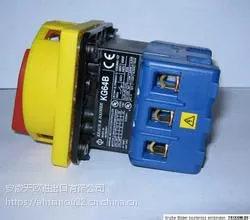 ��������HAGGLUNDSѹ������DS-307/SCH/V2-555-55BA