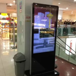 43��50��55��65�����ʽ����һ�����ý���ѯչʾ��������