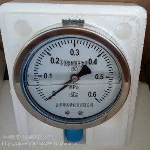 Y-100BFZ���������ѹ����,316L��0-1MPa��