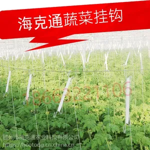 温室大棚无土栽培M型蔬菜挂钩吊蔓钩落蔓钩