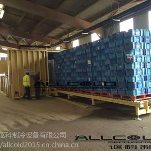 讴科500公斤每次预冷莴笋真空预冷机/厂家 蔬菜保鲜选用