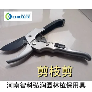 ��֦�� ֲ��걾ȡ������ �ǿ�����