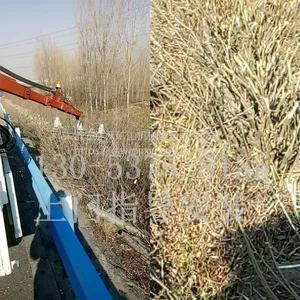 修剪机价格 园林修剪车型号 高速公路绿化修剪加工定做