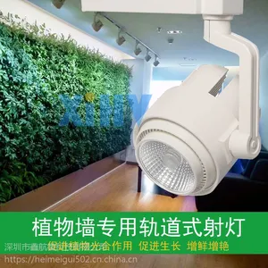 LEDֲ�ﲹ��ƹ��ʽ�����ֲǽ�����XIHV