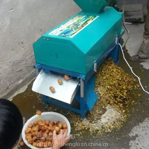 ����Ұ�Ƥ�� ʥ³���Ұ��ǻ� ���õ���ϴȥƤ��