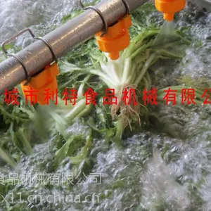 ����ʽ������ϴ�� �߲���ϴ���豸 ���ع��߼ӹ�������