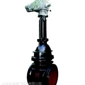 供应山东北泽Z941T-10球墨铸铁电动闸阀