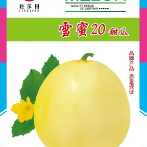 早熟杂交白皮薄皮高糖甜瓜品种粒尔田雪蜜20白甜瓜种子