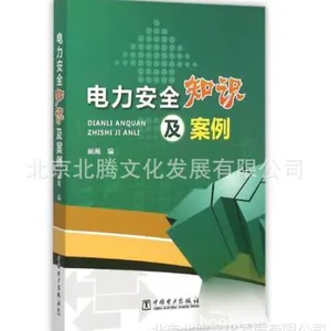 电力安全知识及案例 中国电力出版社 书_