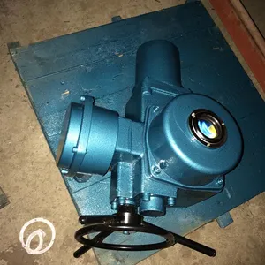 ��������Q10-1W���ֻ�ת�綯ִ����