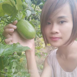 田林香水柠檬苗批发当年结果西林各类柠檬苗批发15777793411
