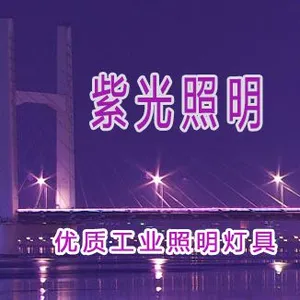 黄石紫光照明技术有限公司
