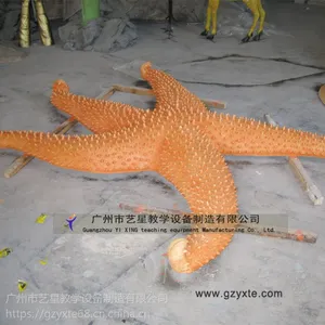 ���ǽ�ѧ�豸��Ӧ����԰ģ�� �˴������ ��Ƥ���� ���ǵ���ģ�Ϳɼӹ�����